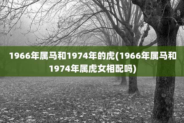 1966年属马和1974年的虎(1966年属马和1974年属虎女相配吗)