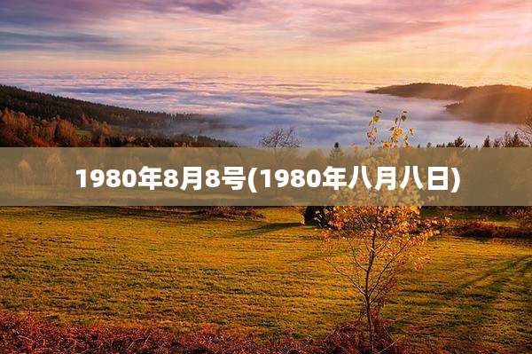 1980年8月8号(1980年八月八日)