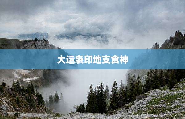 大运袅印地支食神