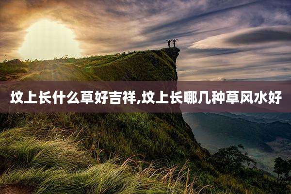 坟上长什么草好吉祥,坟上长哪几种草风水好