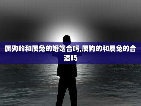 属狗的和属兔的婚姻合吗,属狗的和属兔的合适吗