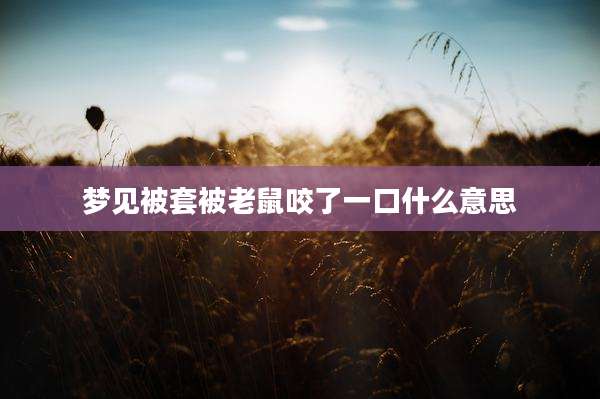 梦见被套被老鼠咬了一口什么意思