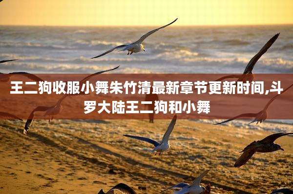 王二狗收服小舞朱竹清最新章节更新时间,斗罗大陆王二狗和小舞