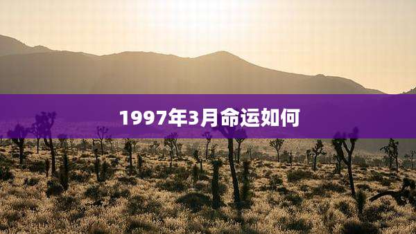 1997年3月命运如何