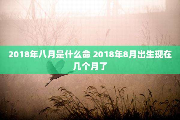 2018年八月是什么命 2018年8月出生现在几个月了