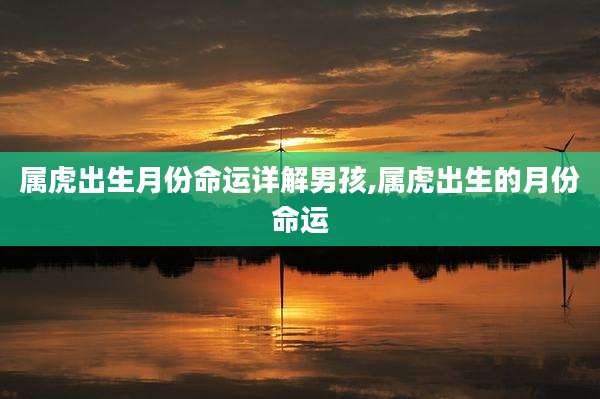 属虎出生月份命运详解男孩,属虎出生的月份命运