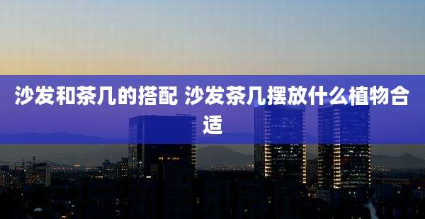 沙发和茶几的搭配 沙发茶几摆放什么植物合适