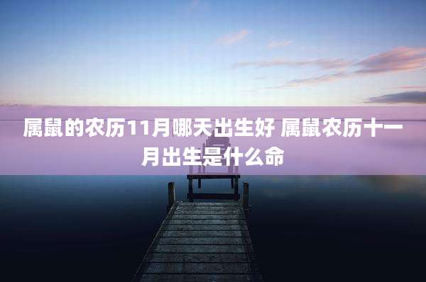 属鼠的农历11月哪天出生好 属鼠农历十一月出生是什么命