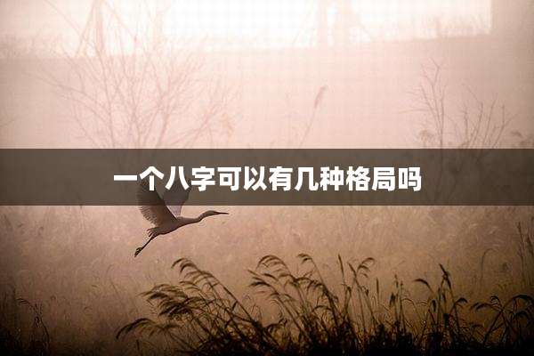 一个八字可以有几种格局吗