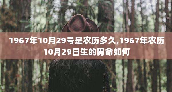 1967年10月29号是农历多久,1967年农历10月29日生的男命如何
