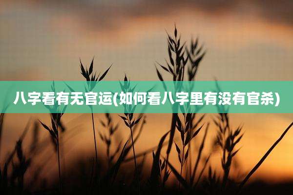 八字看有无官运(如何看八字里有没有官杀)