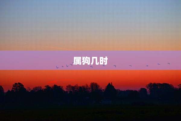 属狗几时