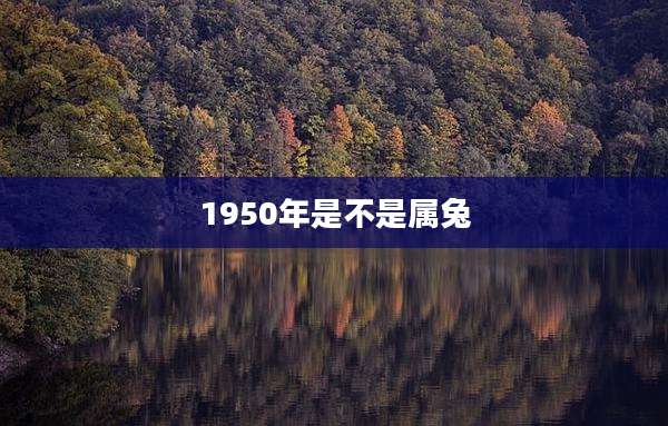 1950年是不是属兔