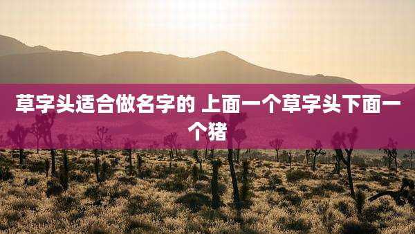 草字头适合做名字的 上面一个草字头下面一个猪