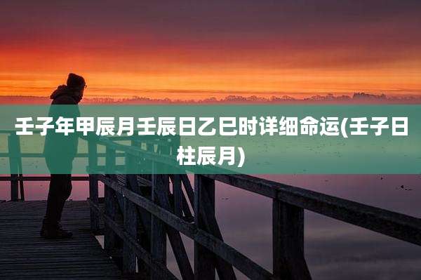 壬子年甲辰月壬辰日乙巳时详细命运(壬子日柱辰月)
