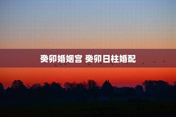 癸卯婚姻宫 癸卯日柱婚配