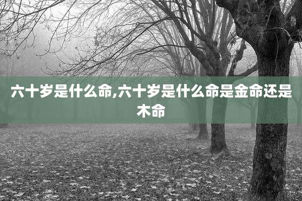 六十岁是什么命,六十岁是什么命是金命还是木命