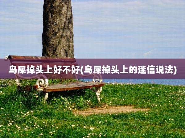 鸟屎掉头上好不好(鸟屎掉头上的迷信说法)