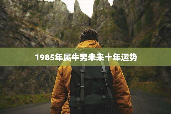 1985年属牛男未来十年运势