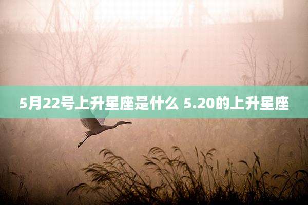 5月22号上升星座是什么 5.20的上升星座
