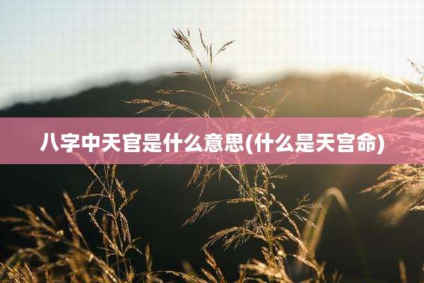 八字中天官是什么意思(什么是天宫命)