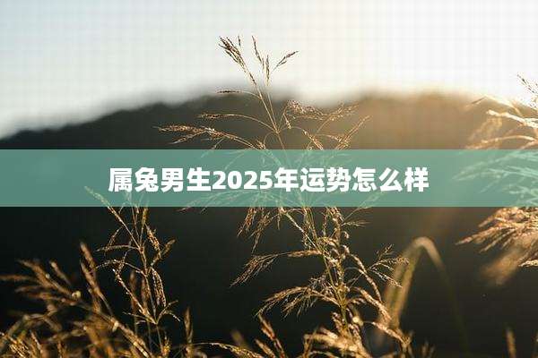 属兔男生2025年运势怎么样