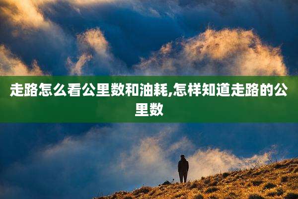 走路怎么看公里数和油耗,怎样知道走路的公里数