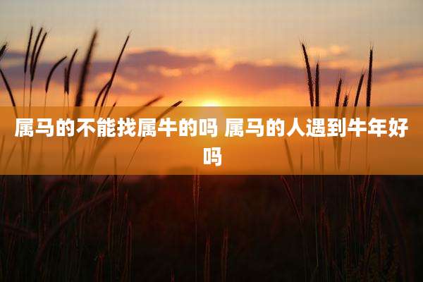 属马的不能找属牛的吗 属马的人遇到牛年好吗