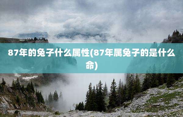 87年的兔子什么属性(87年属兔子的是什么命)