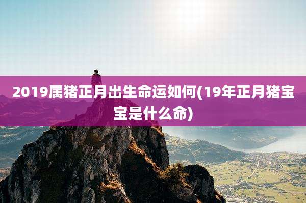 2019属猪正月出生命运如何(19年正月猪宝宝是什么命)