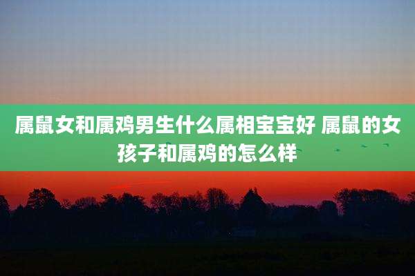 属鼠女和属鸡男生什么属相宝宝好 属鼠的女孩子和属鸡的怎么样