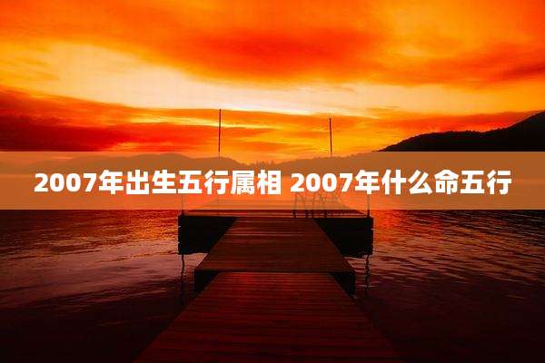 2007年出生五行属相 2007年什么命五行