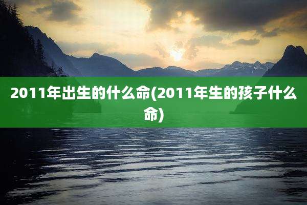 2011年出生的什么命(2011年生的孩子什么命)
