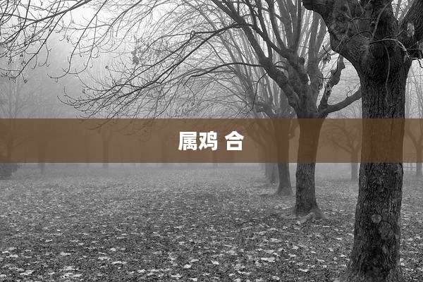 属鸡 合
