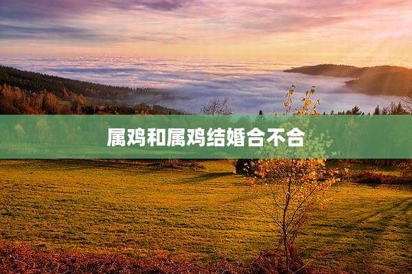 属鸡和属鸡结婚合不合