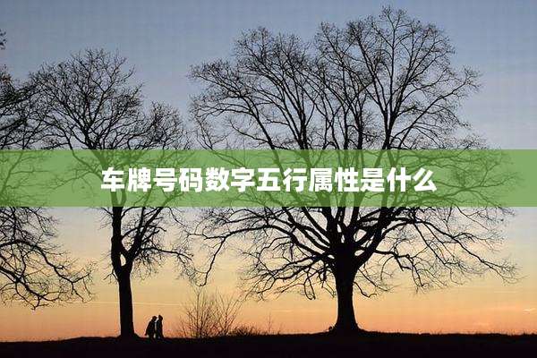车牌号码数字五行属性是什么