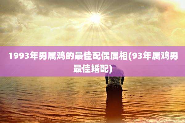1993年男属鸡的最佳配偶属相(93年属鸡男最佳婚配)