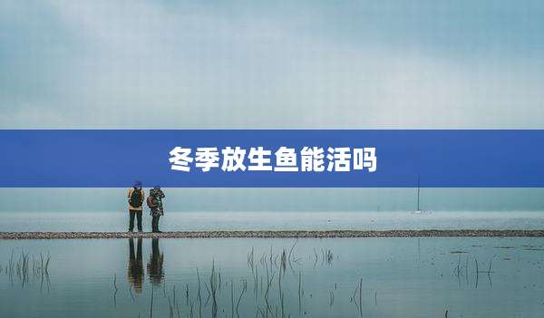 冬季放生鱼能活吗