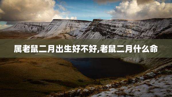 属老鼠二月出生好不好,老鼠二月什么命