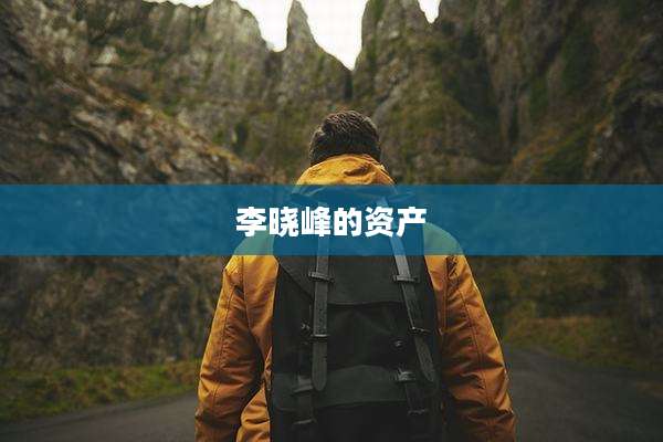 李晓峰的资产