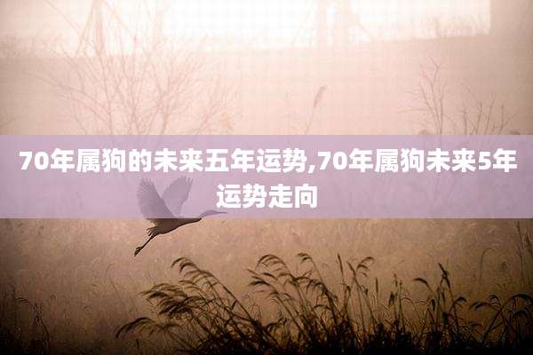 70年属狗的未来五年运势,70年属狗未来5年运势走向