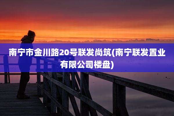 南宁市金川路20号联发尚筑(南宁联发置业有限公司楼盘)