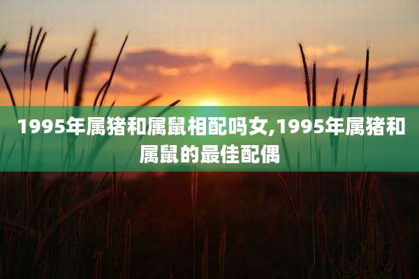1995年属猪和属鼠相配吗女,1995年属猪和属鼠的最佳配偶