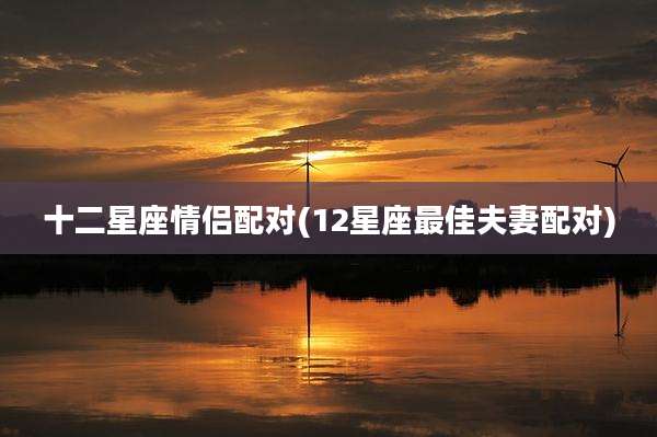 十二星座情侣配对(12星座最佳夫妻配对)