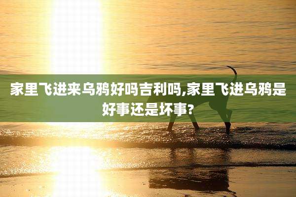 家里飞进来乌鸦好吗吉利吗,家里飞进乌鸦是好事还是坏事?