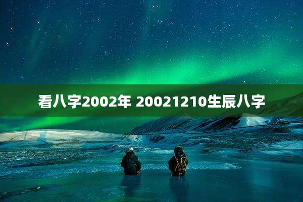 看八字2002年 20021210生辰八字