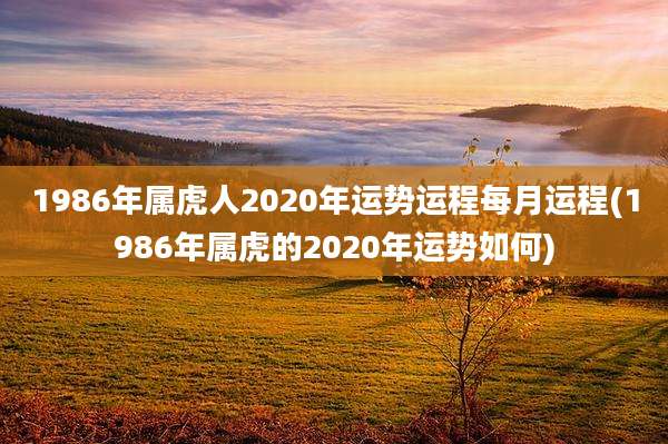 1986年属虎人2020年运势运程每月运程(1986年属虎的2020年运势如何)