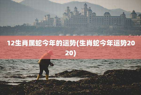 12生肖属蛇今年的运势(生肖蛇今年运势2020)