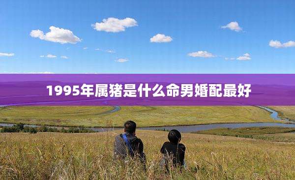 1995年属猪是什么命男婚配最好