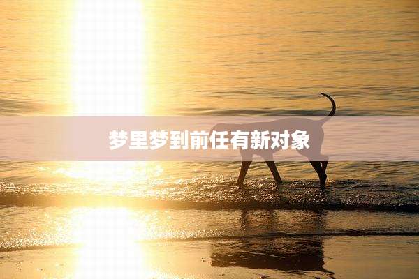 梦里梦到前任有新对象